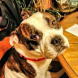 Meet your Posher, Eric